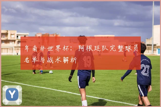 年南非世界杯:阿根廷队完整球员名单与战术解析