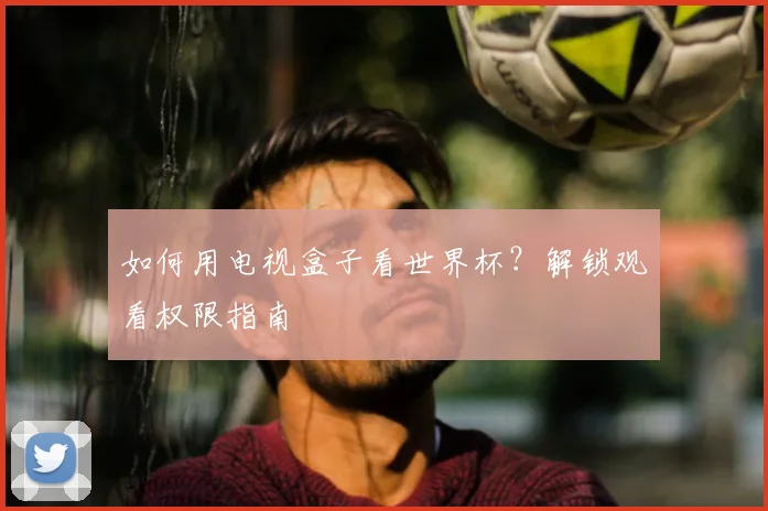 如何用电视盒子看世界杯？解锁观看权限指南