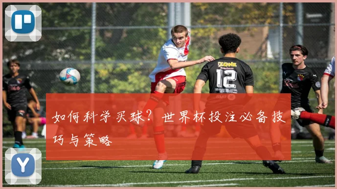 如何科学买球？世界杯投注必备技巧与策略