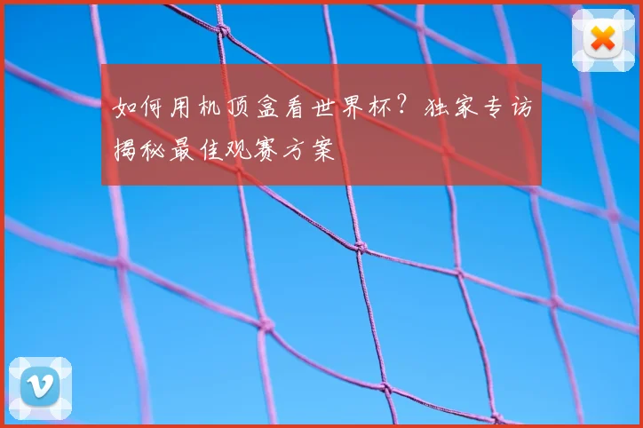 如何用机顶盒看世界杯？独家专访揭秘最佳观赛方案