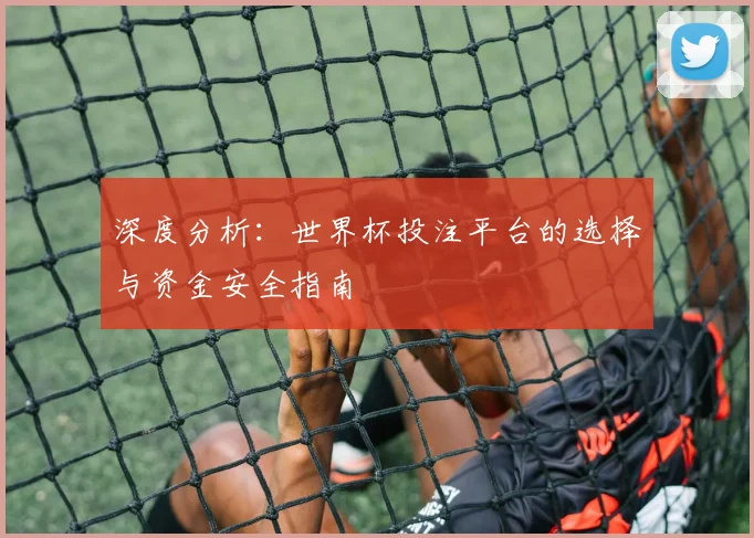 深度分析：世界杯投注平台的选择与资金安全指南